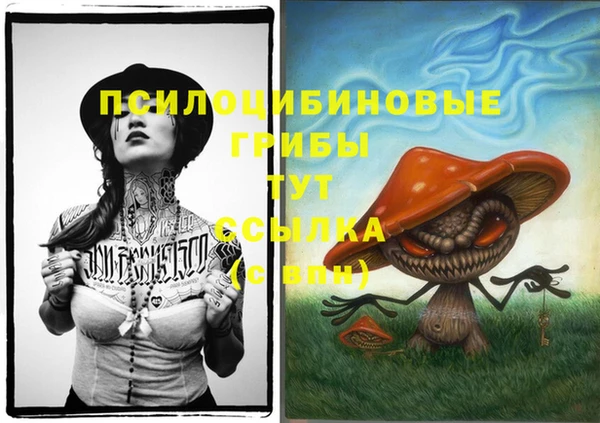 дурь Балахна