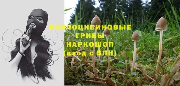 дурь Баксан
