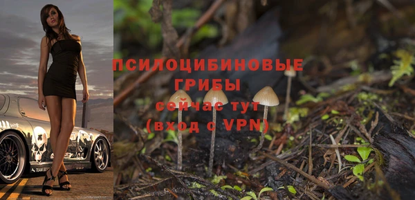 соль ск Балабаново