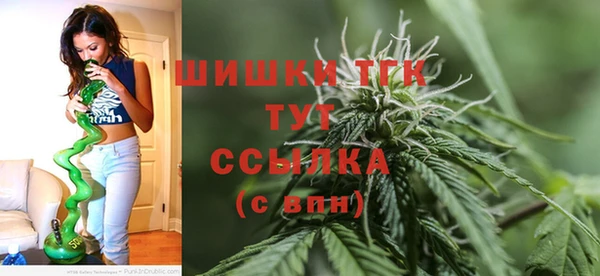 соль ск Балабаново